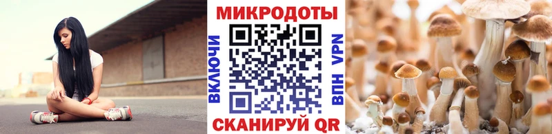 МЕГА как зайти  Юрьевец  Галлюциногенные грибы Psilocybe 